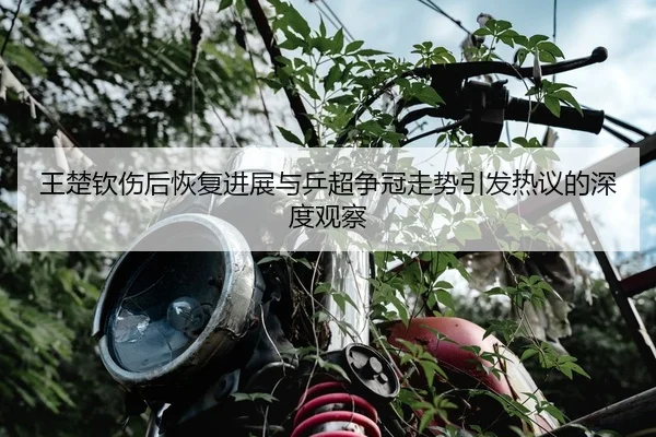 王楚钦伤后恢复进展与乒超争冠走势引发热议的深度观察