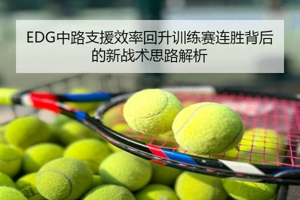 EDG中路支援效率回升训练赛连胜背后的新战术思路解析